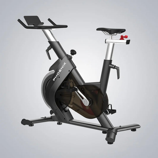DHZ S210 Spin Bike