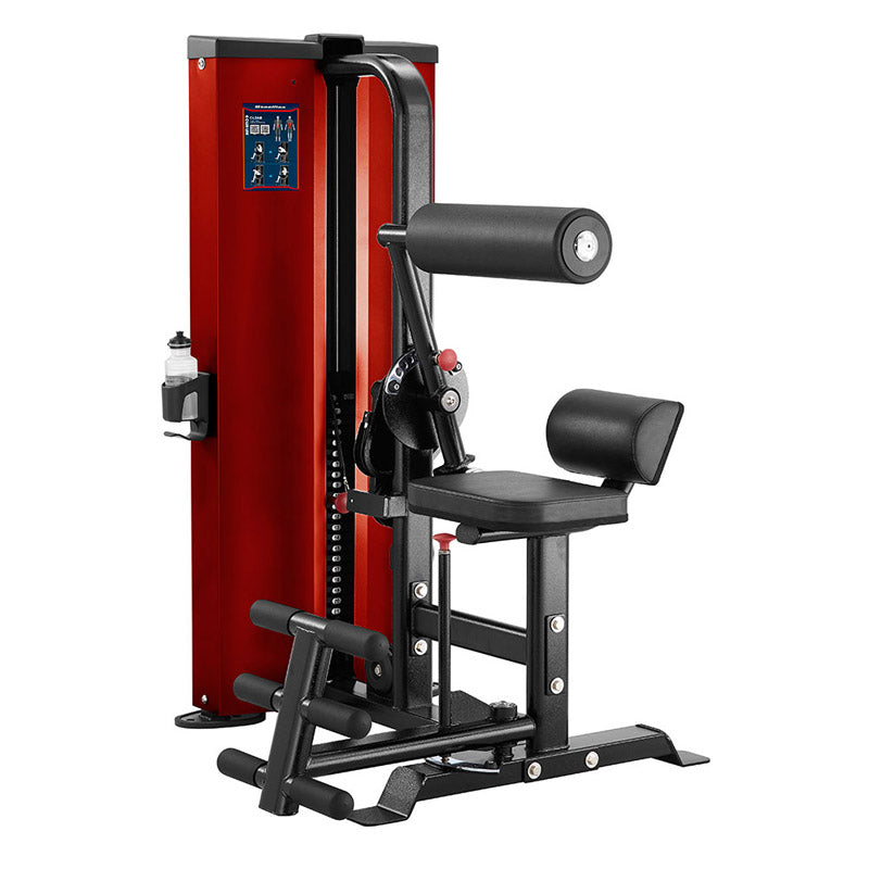 Steelflex CL2AB Ab & Back Machine
